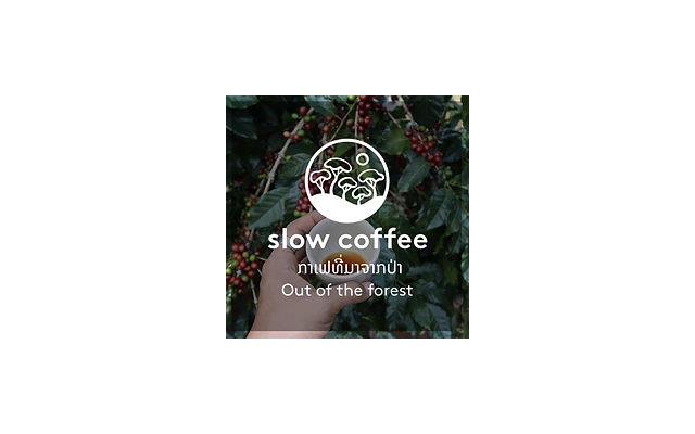 Slow Coffee